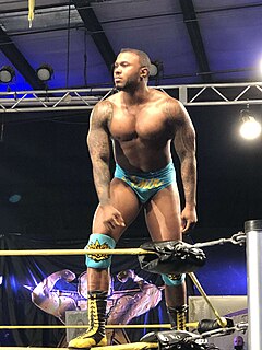 Omar Amir Bahamian professional wrestler