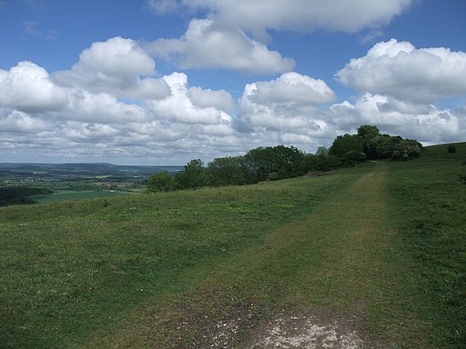 On Round Down, Harting Downs - geograph.org.uk - 2415628