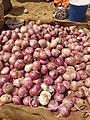 Onion_1