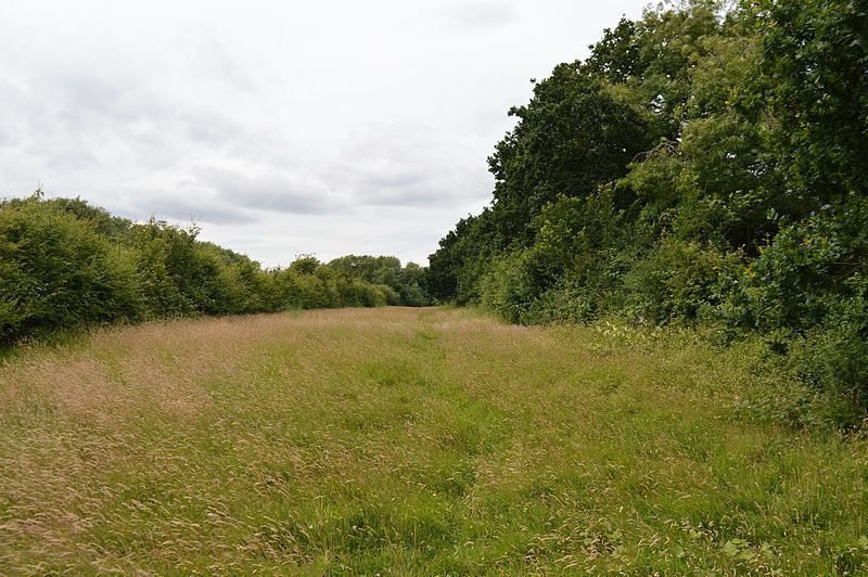 File:Oxley Meadow 5.jpg