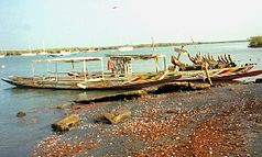 Pirogue on Oyster Creek