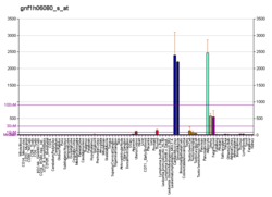 PBB GE CCDC80 gnf1h06080 s bei fs.png