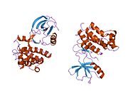 PDB 1snx EBI.jpg