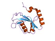 PDB 1v49 EBI.jpg