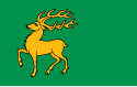 Дравско - Флаг