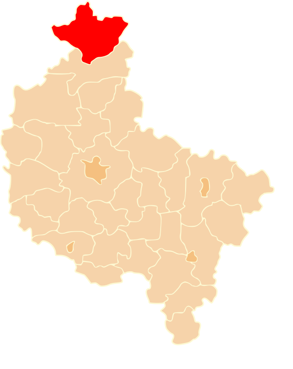 Złotów County