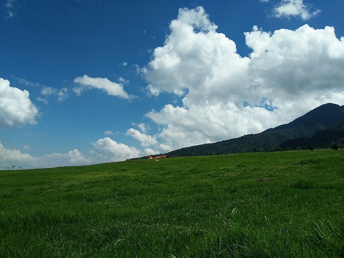 padang rumput Wiktionary bahasa Indonesia