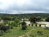 Paisaje de El Pardo (Madrid).