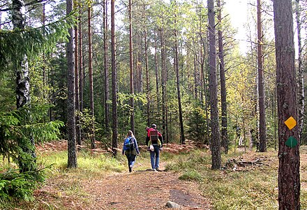 On a trail in a nature reserve, Stockholm county.