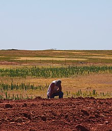 Parched ground, 2011 Parched ground - Flickr - Al Jazeera English (cropped).jpg