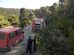 Μέλη του Πυροσβεστικού Σώματος κατά τη διάρκεια της πυρκαγιάς στην Πάρνηθα