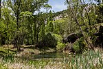 Miniatura para Río Lobos