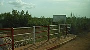 Vignette pour Parc naturel des mangroves du Rio Cacheu