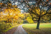 Franklin Park (Boston)