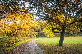 Franklin Park (Boston) Protected area in Massachusetts