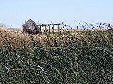 A reconstructed Patwin reed hut at Rush Ranch Open Space, Solano County Patwin reed hut.jpg