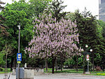 Pioneers Park, Belgrade