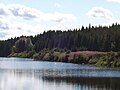 Paysage de la Réserve Faunique de Matane