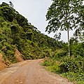 * Nomination Pensiangan, Sabah, Malaysia: Pristine rain forest along the Sapulut-Pensiangan Road --Cccefalon 04:50, 30 November 2015 (UTC) * Promotion Good quality.--Agnes Monkelbaan 05:46, 30 November 2015 (UTC)