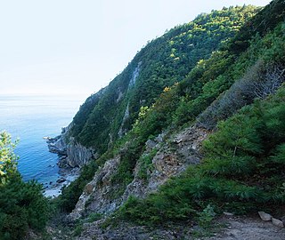 <span class="mw-page-title-main">Lazovsky Nature Reserve</span> Nature reserve in Primorsky Krai, Russia