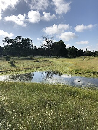 Phoenix Vernal Pool Phoenix Vernal Pool.jpg