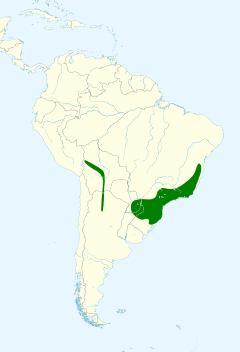 Distribuição geográfica do piolhinho-chiador.