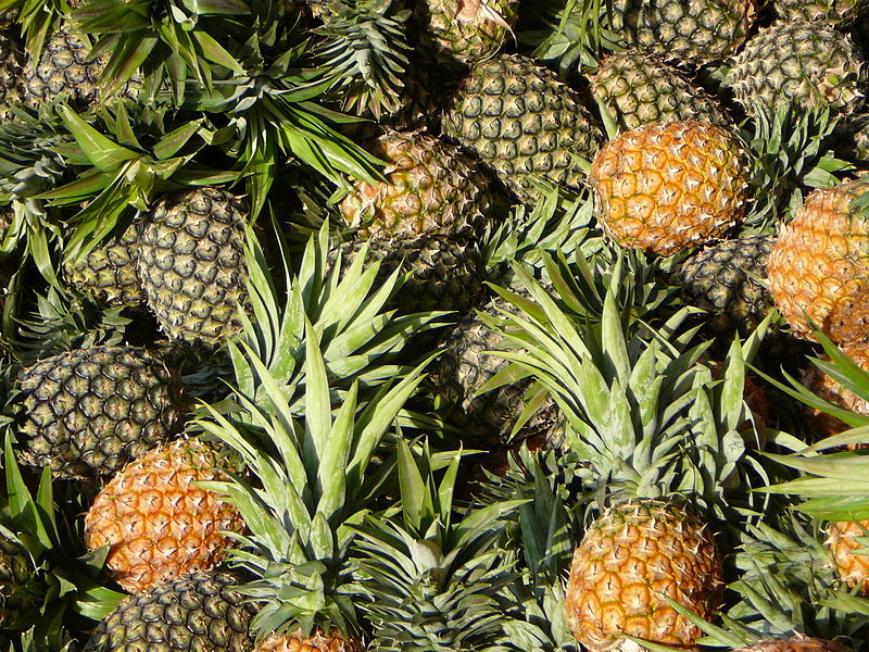 File:Pineapples for sale in Bolgatanga, Upper East Region, Ghana.JPG