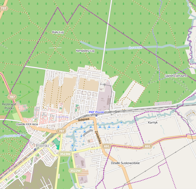 Mapa konturowa Pionek, blisko centrum na dole znajduje się punkt z opisem „Zagożdżon”