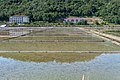 * Nomination Salt evaporation ponds of Strunjan, Piran / Slovenia --Isiwal 08:53, 13 November 2018 (UTC) * Promotion Good quality. The plants in the forground are a bit disturbing, but nevertheless QI to me. --Cayambe 16:25, 13 November 2018 (UTC)