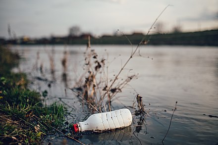Plastic bottle stuck on edge of river.