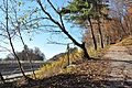 English: Hiking trail north of the motorway A2 Deutsch: Wanderweg nördlich der Süd-Autobahn A2