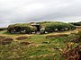 Porth Hellick Down - geograph.org.uk - 1036.jpg