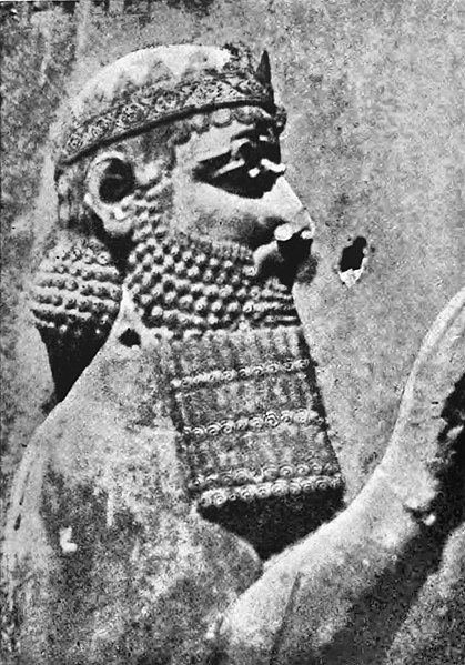 File:Portrait of Darius the Great at Behistun.jpg