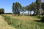 Vignette pour Prairies inondables du val de Saône