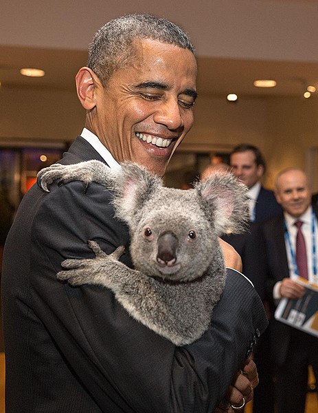 File:President Obama holding a koala 3.jpg