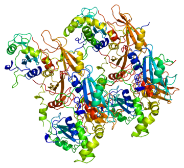 Tyrosine-protein kinase SYK