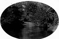 Quilcene River, Washington, ca 1898-1899 (WASTATE 2554).jpeg