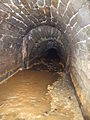 Deutsch: Entwässerungsrösche des Thelersberger Stollns mit sichtbar ockerfarbigem Wasser durch ausgewaschene Minerale. Fotografiert vom oberen Mundloch aus. English: Trench of the drain of Thelersberger Stolln (Thelersberg Adit) with visible ochre coloured water due to washed out minerals. Looked at from the upstream orifice. (source name: dscf037136_Eingangsmundloch_Abzuggraben_Thelersberger_Stolln.jpg)