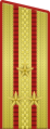 parade uniform, Land forces (1955-1994), and since 2010