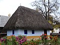 19th century Alba County house