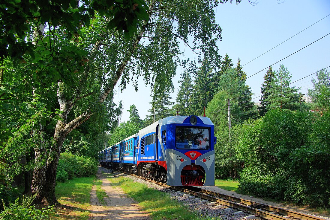 Московская детская железная дорога