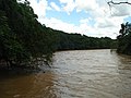 Rio Jaguari - chacara pingueiro - Itapavossu - panoramio - Anderson Martins (7).jpg