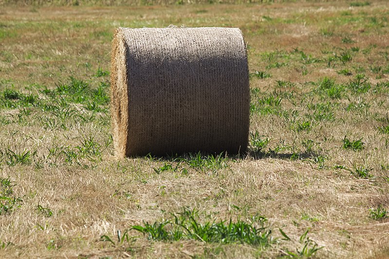 File:Rolo de herba - Rollo de hierba - Round hay bale - 02.jpg
