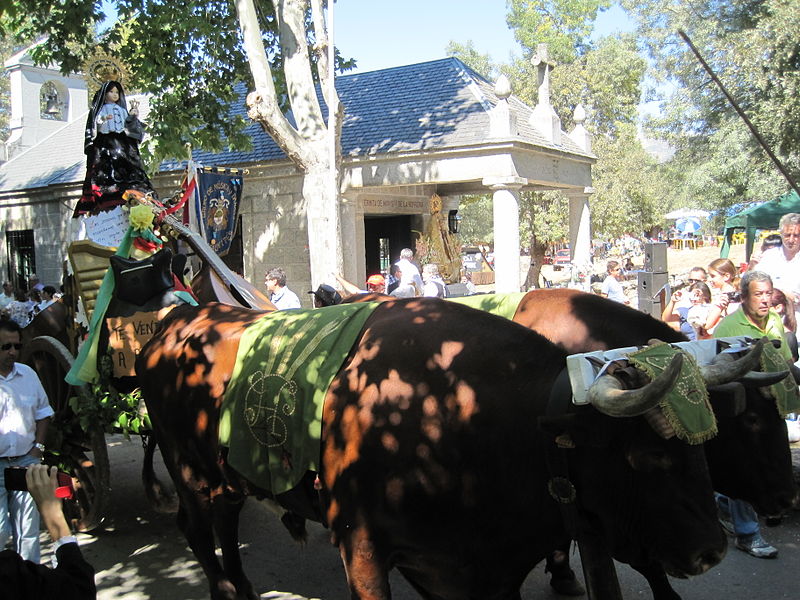 File:Romería Virgen de la Herrería1.jpg