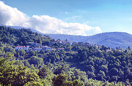 نمایی کلی از روتالی