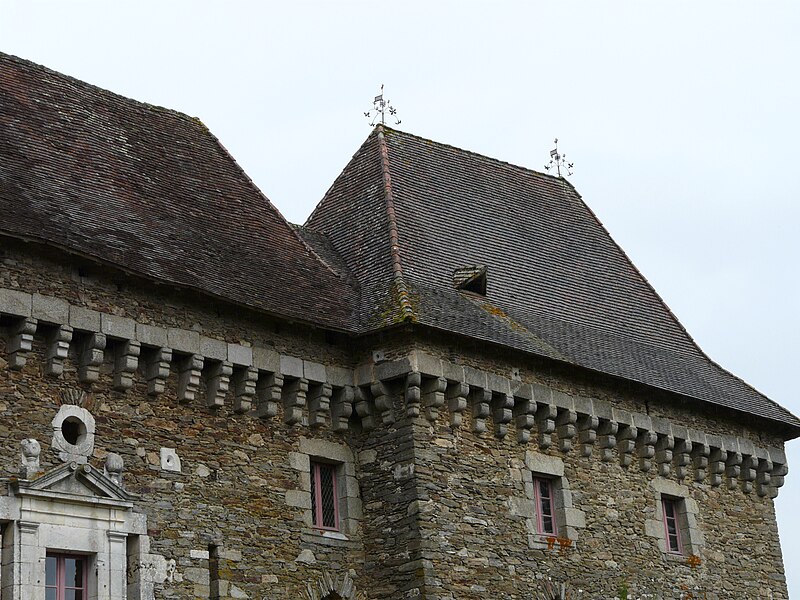 File:Saint-Pierre-de-Frugie château Frugie toits logis sud-ouest.JPG