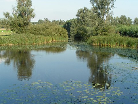 Sint-Gillis-Waas