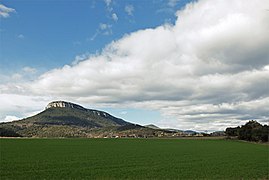 Sant Roc i el Pla de Sant Joan.jpg