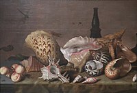 Balthasar van der Ast, Sea Shells, (1640)