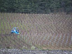 Enjambeur dans les vignes effectuant une pré-taille.